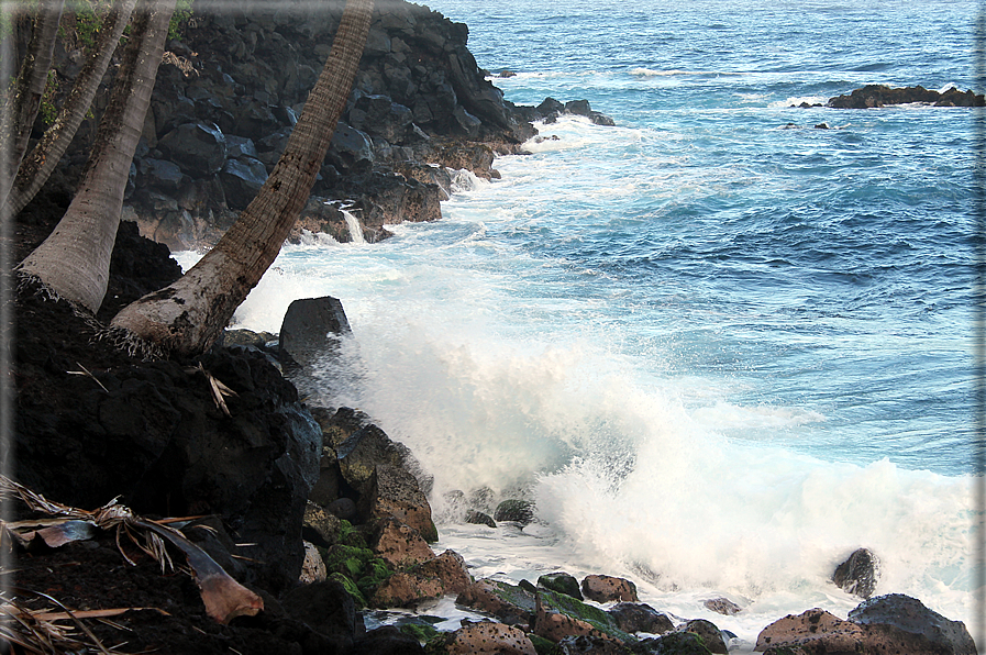 foto Costa della Big Island 